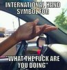 the-international-sign-for-what-the-fuck-are-you-doing.jpg