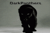 DarkPanthers (2).gif
