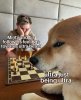 Doge Playing Chess 22062021083509.jpg